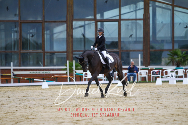 DKP43575 | Turniersportfotografie; Pferdefotografie; Dressurfotografie