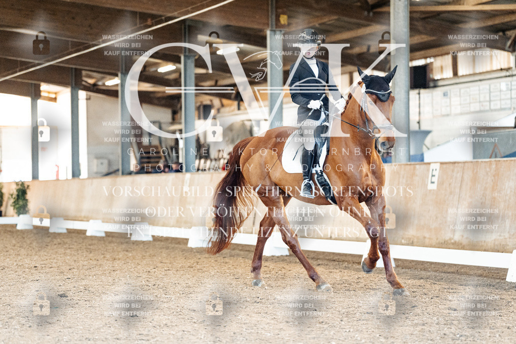 CK908735 | Turnierfotografie Pferdefotografie Trier Rheinland-Pfalz Pferdesport Reitsport Tierfotografie Sportfotografie Pferdevideo Pferdevideografie Equestrianvideography equestrianphotography  - Realisiert mit Pictrs.com