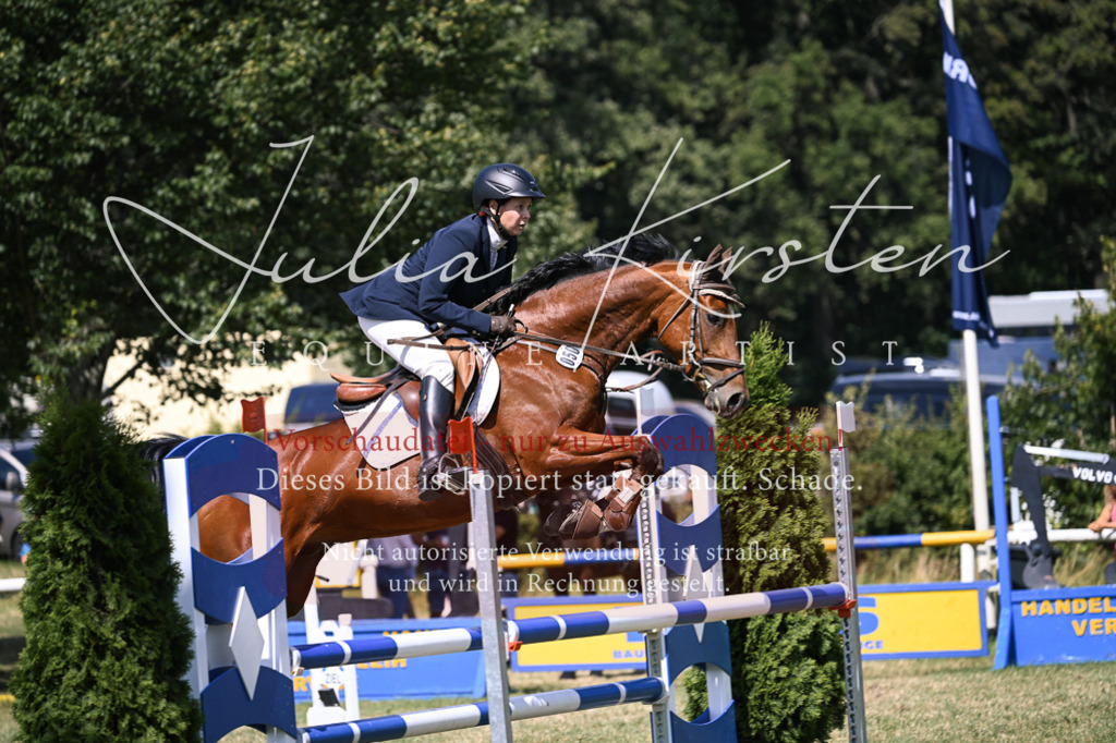 DSC_0433 | Pferde- und Turnierfotografie in Westsachsen. Pferdeportraits, Auftragszeichnungen und intuitive Kunst.