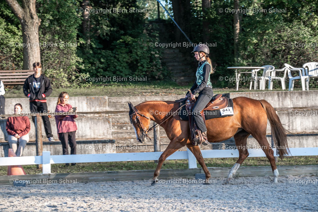 HOB07768 | BS-foto