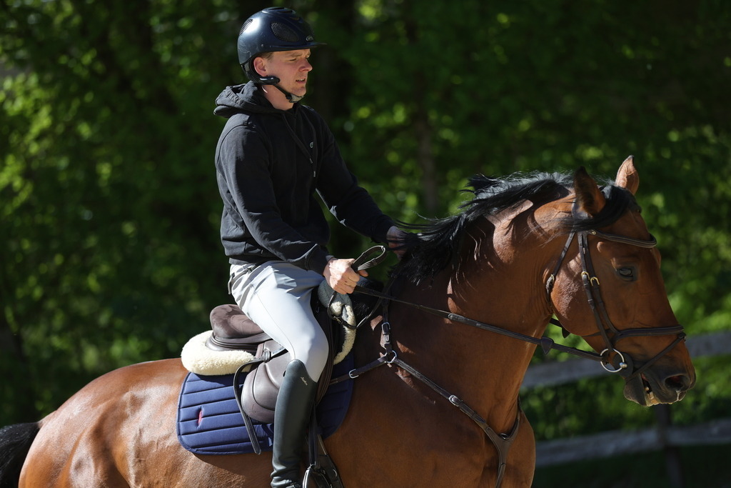 0P6A8124 | Willkommen bei Brunnmayr - Design & Fotografie – Ihrem Spezialisten für Reitturniere und Pferdeveranstaltungen in Oberösterreich, Salzburg und Bayern! Seit über 17 Jahren sind wir leidenschaftlich dabei.