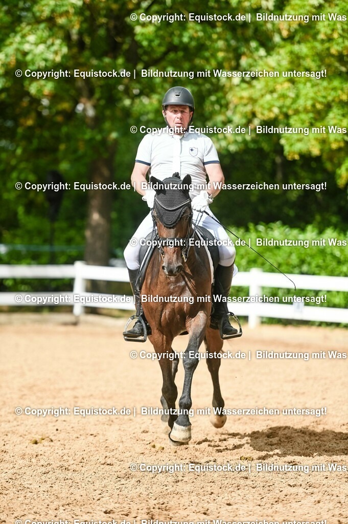 20230716_01_Dressurprüfung Kl.M_0556 | equistock