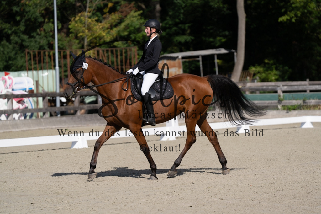 A7V06949 | Turnier/Reitfotograf