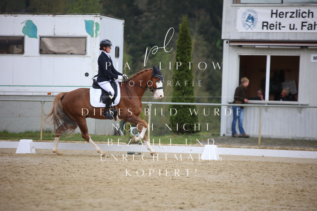 IMGT6886 | pl-fotografie