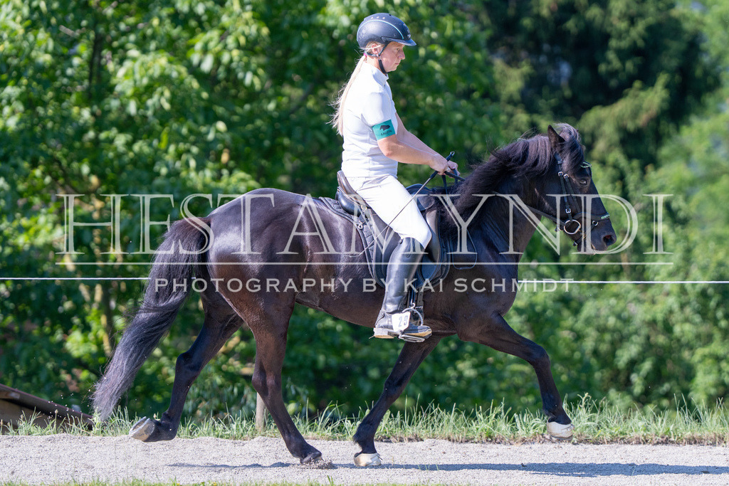 KAI06741 | Ihr sucht einen Fotografen für eure nächste OSI? Ich begleite auch euer Turnier für Islandpferde fotografisch.  - Realisiert mit Pictrs.com