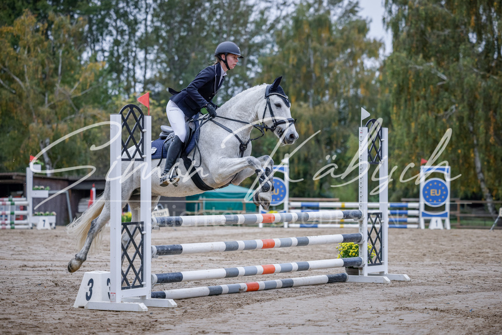 20251012-_3LI3212 | Tierfotografie Pferde, Hunde, Katzen, Haustiere.
Turnierfotografie Reitturniere, Reiten, Springreiten, Dressur in Hanau, dem Main-Kinzig-Kreis und dem Rhein-Main- Gebiet um Frankfurt