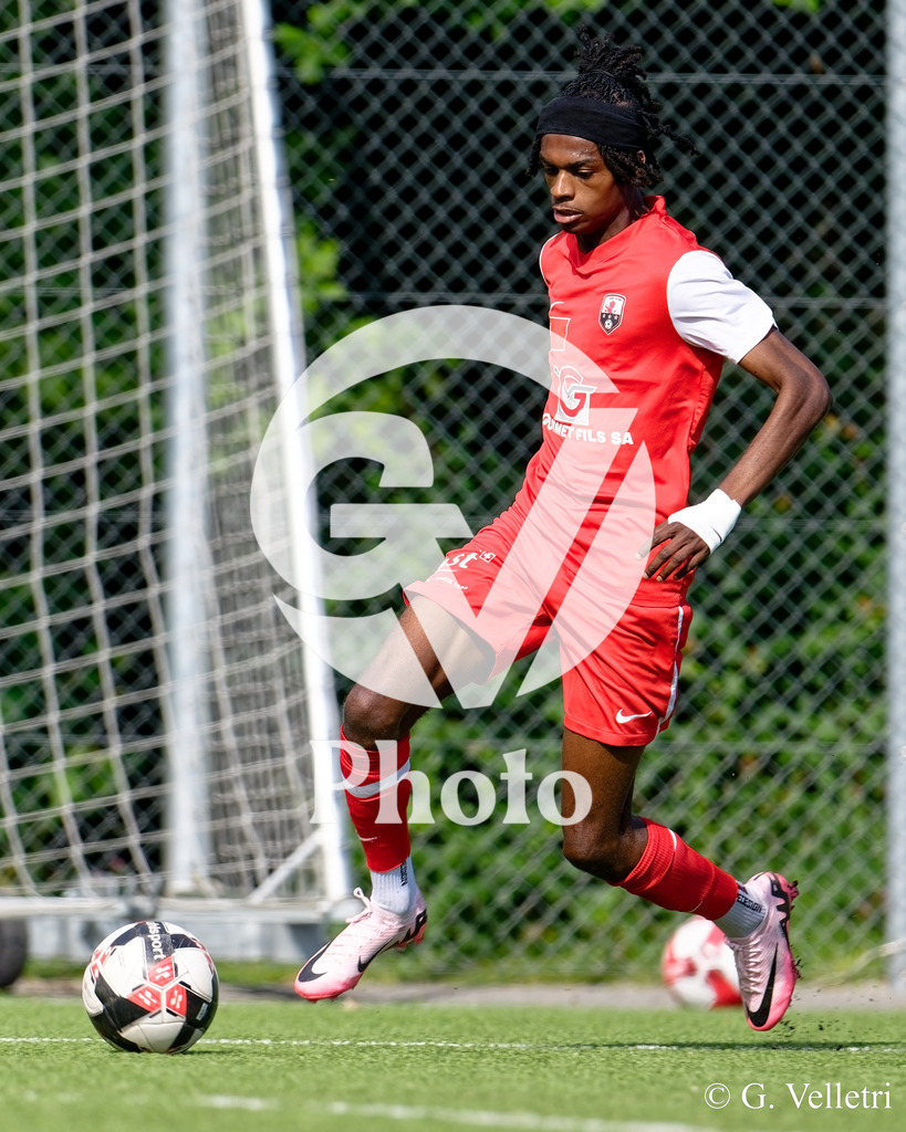 DSC_5565 | Velletri Photo