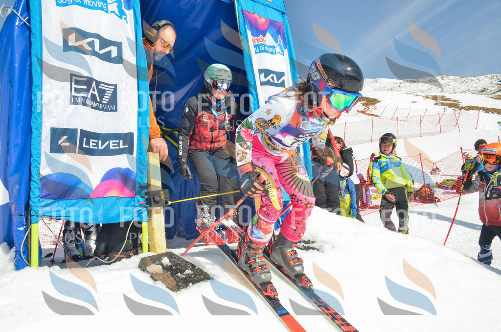 _ELE5530 | holidayphoto