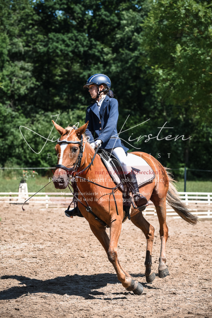 DSC_2931 | Pferde- und Turnierfotografie in Westsachsen. Pferdeportraits, Auftragszeichnungen und intuitive Kunst.