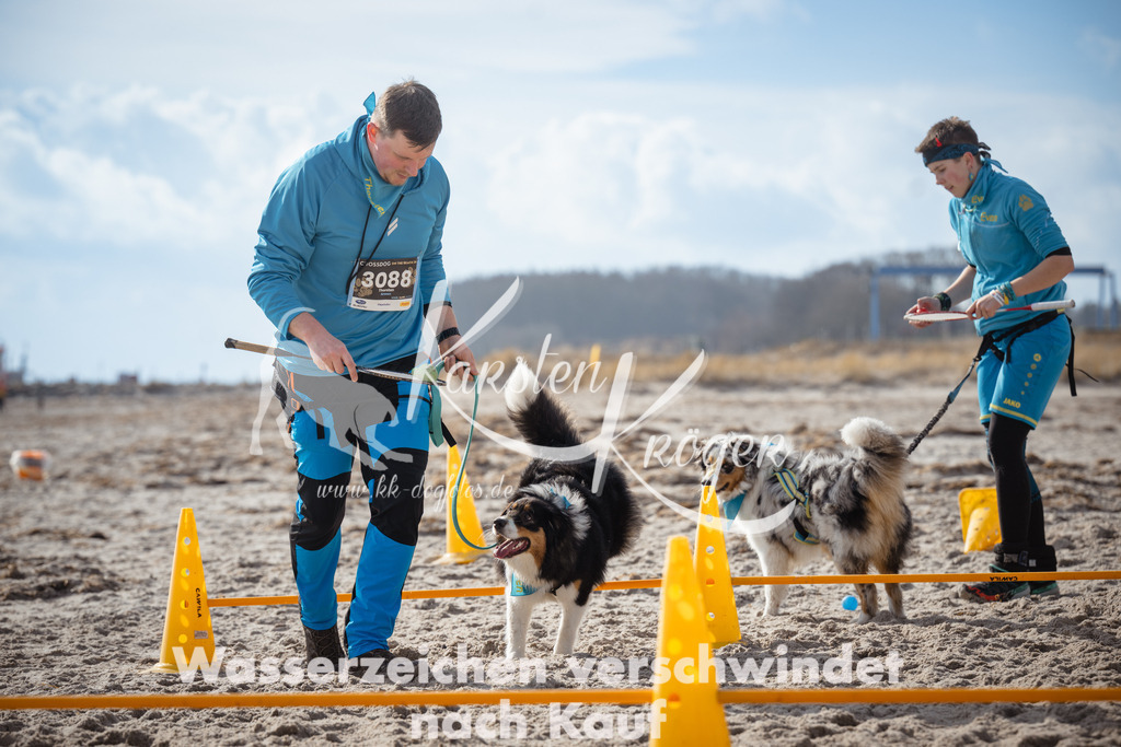 1242_ZZ98303 | kk-dogfotos