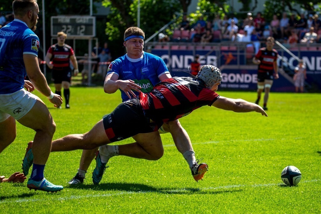 Rugby 1. Bundesliga Süd/West, Saison 2024/25, Finalphase Halbfinale: SC Frankfurt 1880 gegen SC Neuenheim | Rugby 1. Bundesliga Süd/West, Saison 2024/25, Finalphase Halbfinale: SC Frankfurt 1880 gegen SC Neuenheim - Realisiert mit Pictrs.com