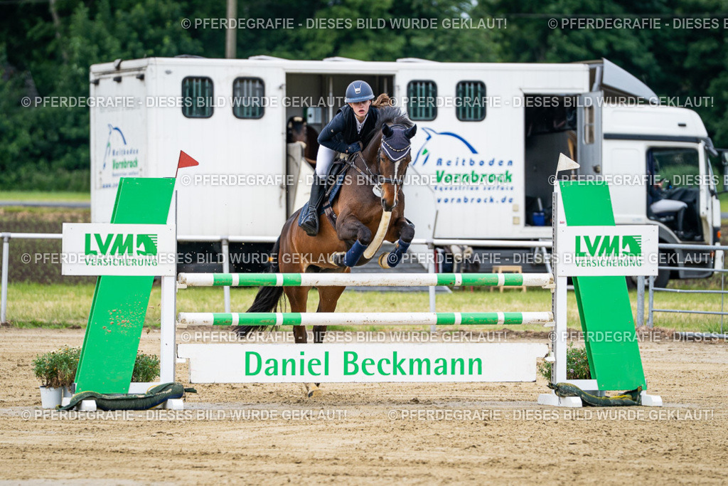 DSC04916 | Pferdegrafie