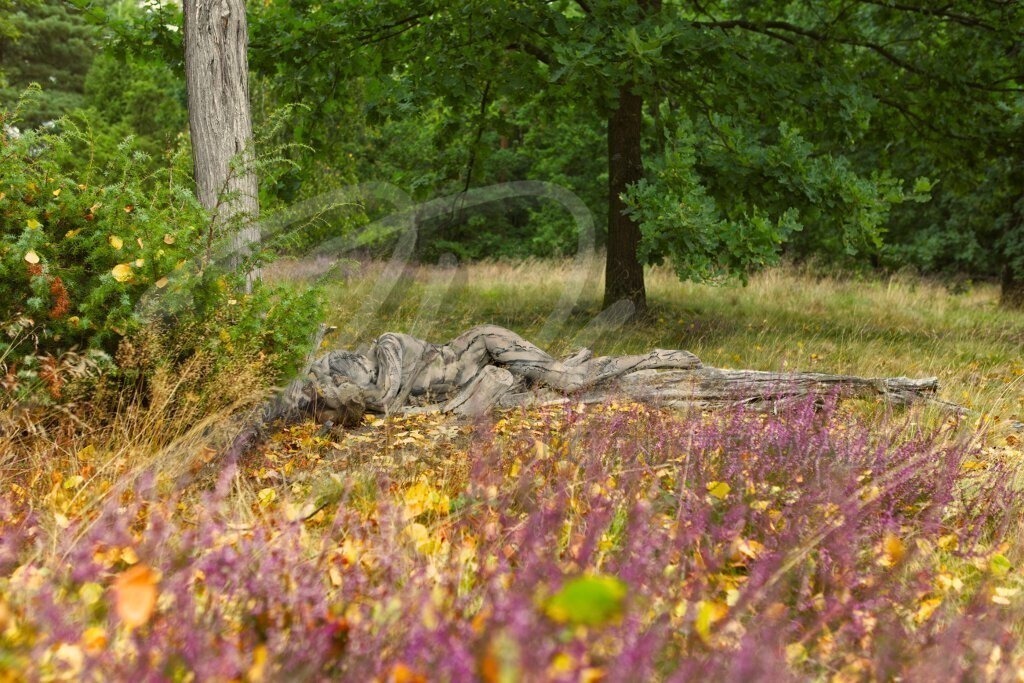 NatureArt-HEIDEHERBST_2214a2 | Heide und Holz | #002 | Modell: Tatjana Heinz | Foto: Mike Koppold - Realisiert mit Pictrs.com