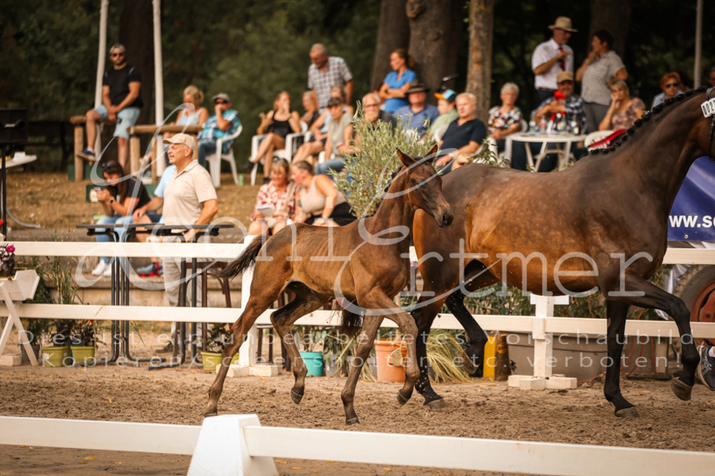 SaPA00323 | Leoni Ertmer Photography - Realisiert mit Pictrs.com