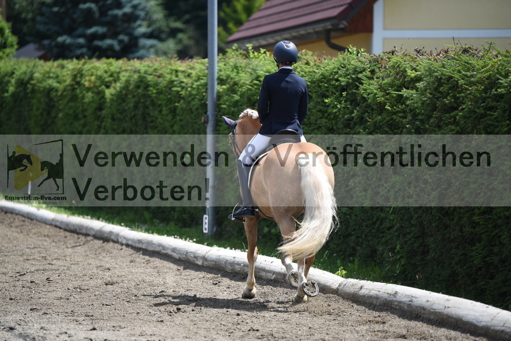 DSC_9079 | equestrian-live-com