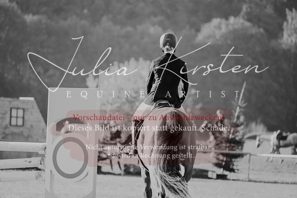 DSC_4292 | Pferde- und Turnierfotografie in Westsachsen. Pferdeportraits, Auftragszeichnungen und intuitive Kunst.