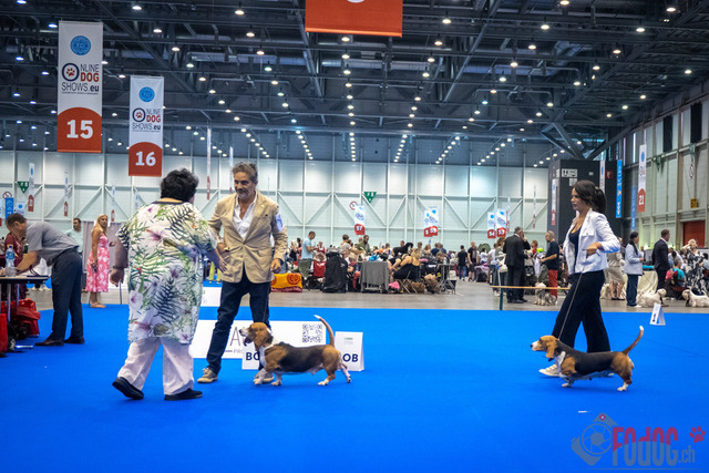World Dog Show | World Dog Show 2023 im Palexpo in Genf 23.08.2023 Foto: Leo Wyden