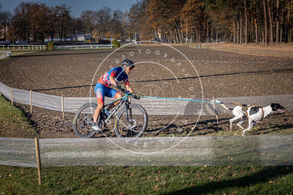CaniXpix_DV3A2624 | Hundefotografie, Tierfotograf, Pfotenfotografie, Fotoshooting Hund, Hunde Portrait, Hundesport, Hundeportraits, Heideshooting, Hunde, Sportfotograf, Hundefotograf, Turnierhundsport, THS,  - Realisiert mit Pictrs.com