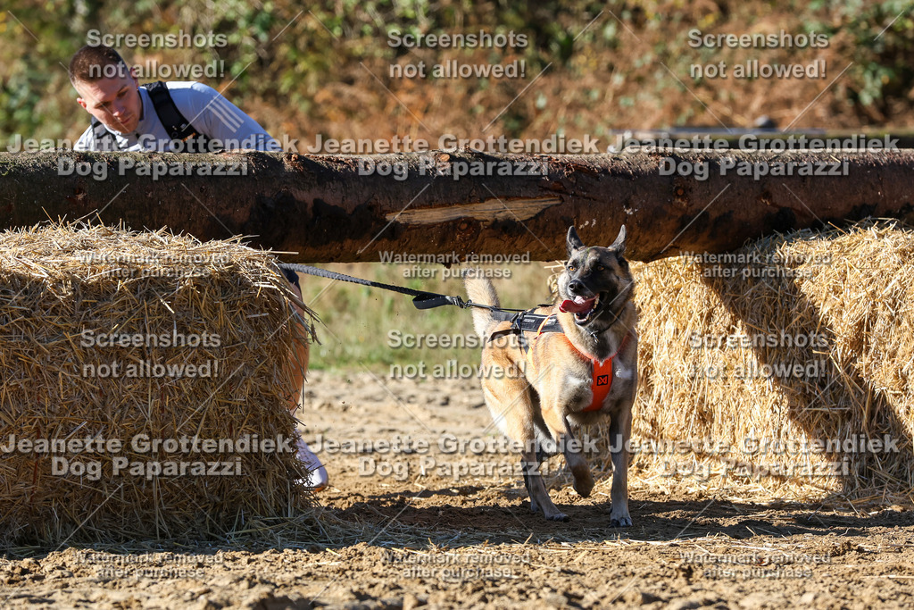 Dog Paparazzi - Strongdog 10-25-2532 | Dog Paparazzi Jeanette Grottendiek Fotografie & Videografie - Realisiert mit Pictrs.com