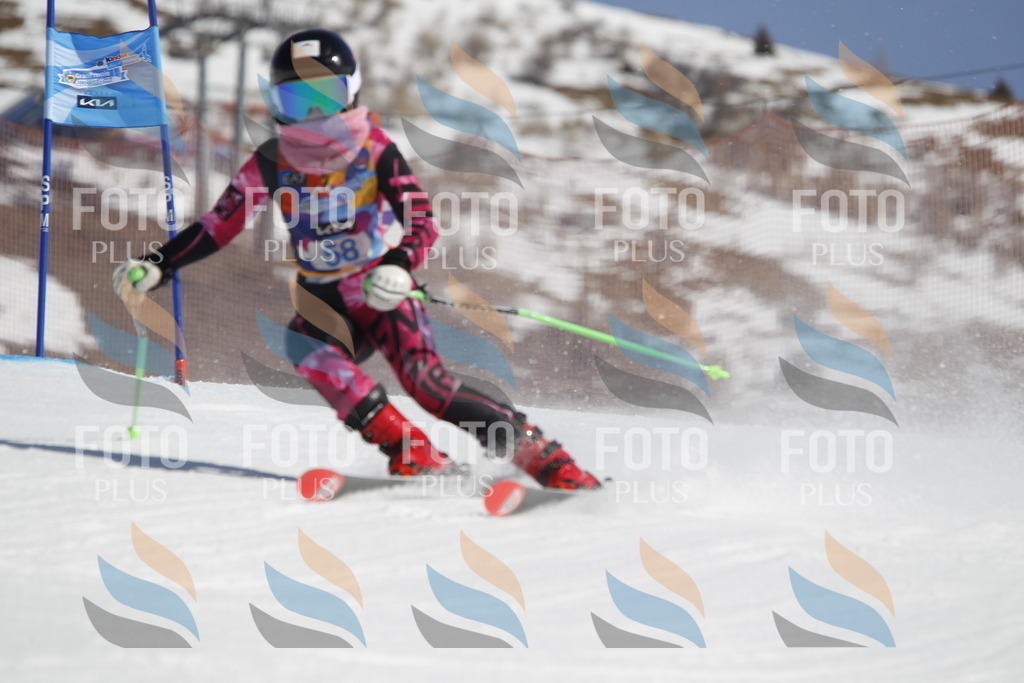 _U3G9562 | holidayphoto