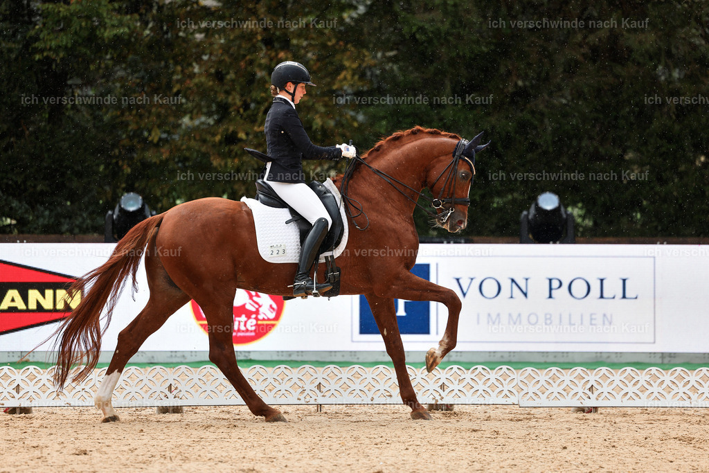 05-223-DRESSUR M_  -StoibPH-4884 | working equitationturnier fotograf videograf stoibphotography marixx film working equitation deutschland reitsport turnierfotografie eventfotografie equestrian events