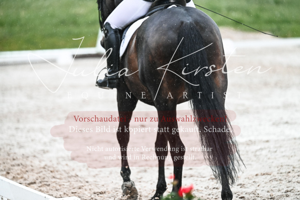 DSC_4704 | Pferde- und Turnierfotografie in Westsachsen. Pferdeportraits, Auftragszeichnungen und intuitive Kunst.
