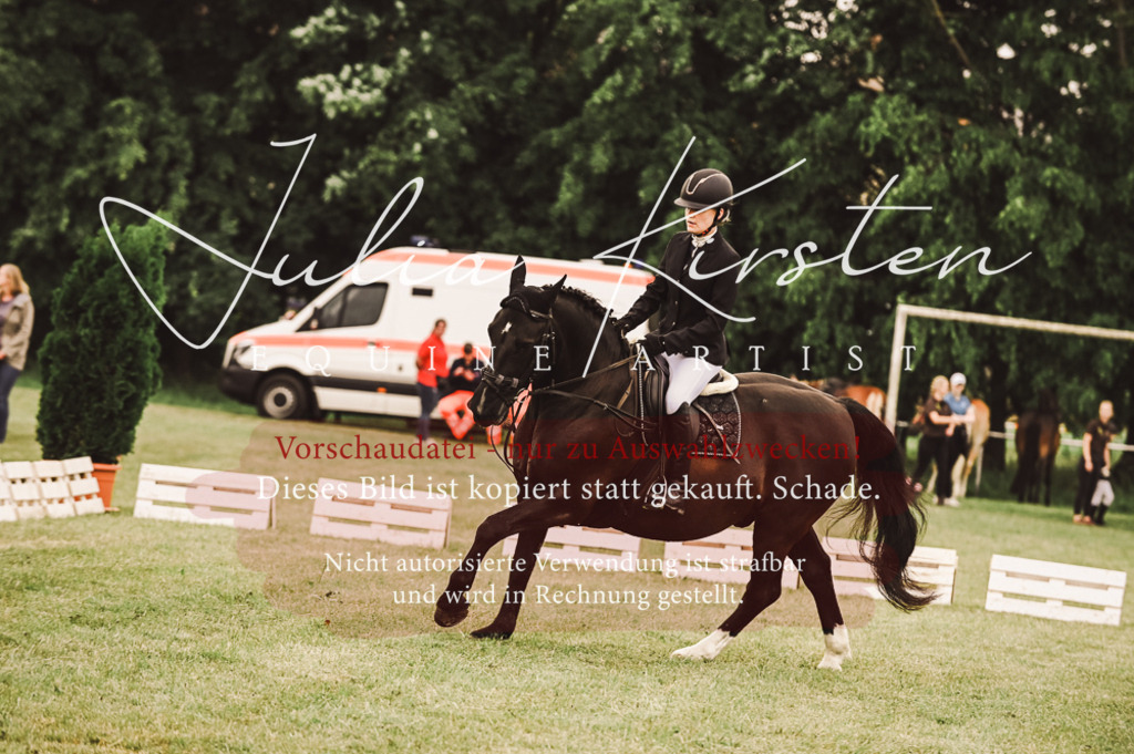DSC_5106 | Pferde- und Turnierfotografie in Westsachsen. Pferdeportraits, Auftragszeichnungen und intuitive Kunst.