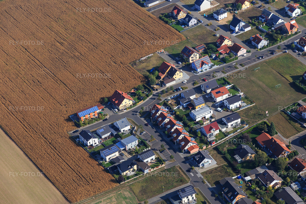 Luftbild: Im Altfeld, Blumenring im Ortsteil Hardtwald in Neupotz im Bundesland Rheinland-Pfalz in Deutschland. Foto: IMG_094882.jpg vom 24.09.2016 durch Werner Riehm/FLY-FOTO.de