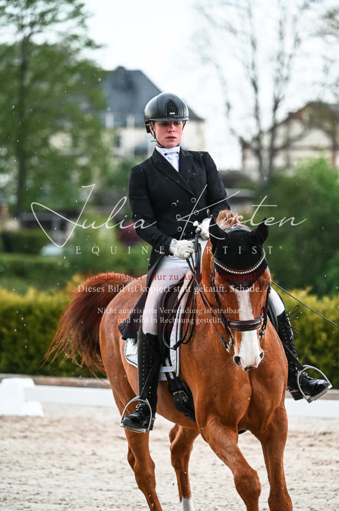 20230514_JK-Röhrsdorf-21-646 | Pferde- und Turnierfotografie in Westsachsen. Pferdeportraits, Auftragszeichnungen und intuitive Kunst.