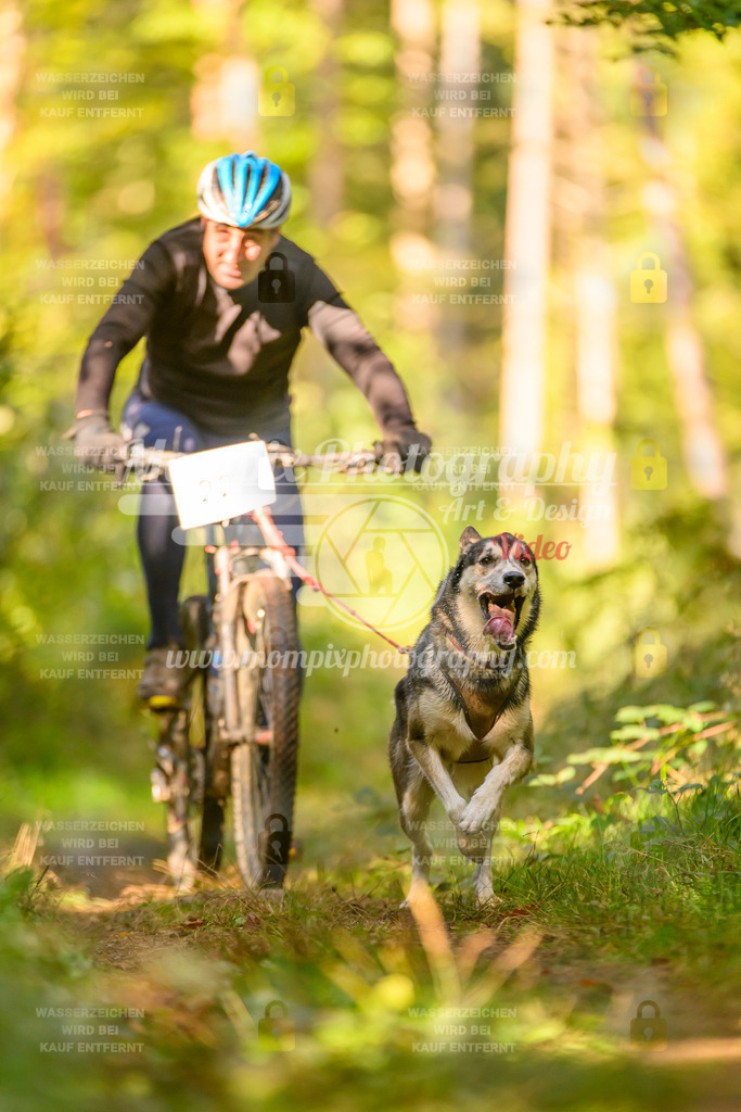 MompixPhotography_Yens2025_B3-15 | PayLife