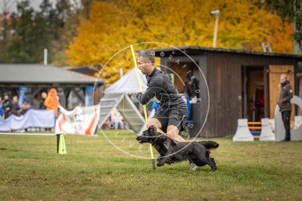 Pfotenfotografie_DV3A5068 | Hundefotografie, Tierfotograf, Pfotenfotografie, Fotoshooting Hund, Hunde Portrait, Hundesport, Hundeportraits, Heideshooting, Hunde, Sportfotograf, Hundefotograf, Turnierhundsport, THS,  - Realisiert mit Pictrs.com