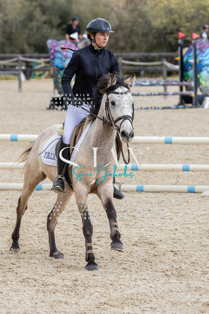 IMG_4638 | s-jay-photography - Realisiert mit Pictrs.com