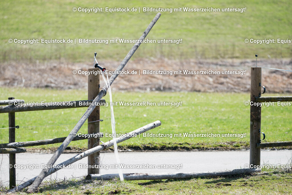 20170312_Koppelzaun_0004 | equistock