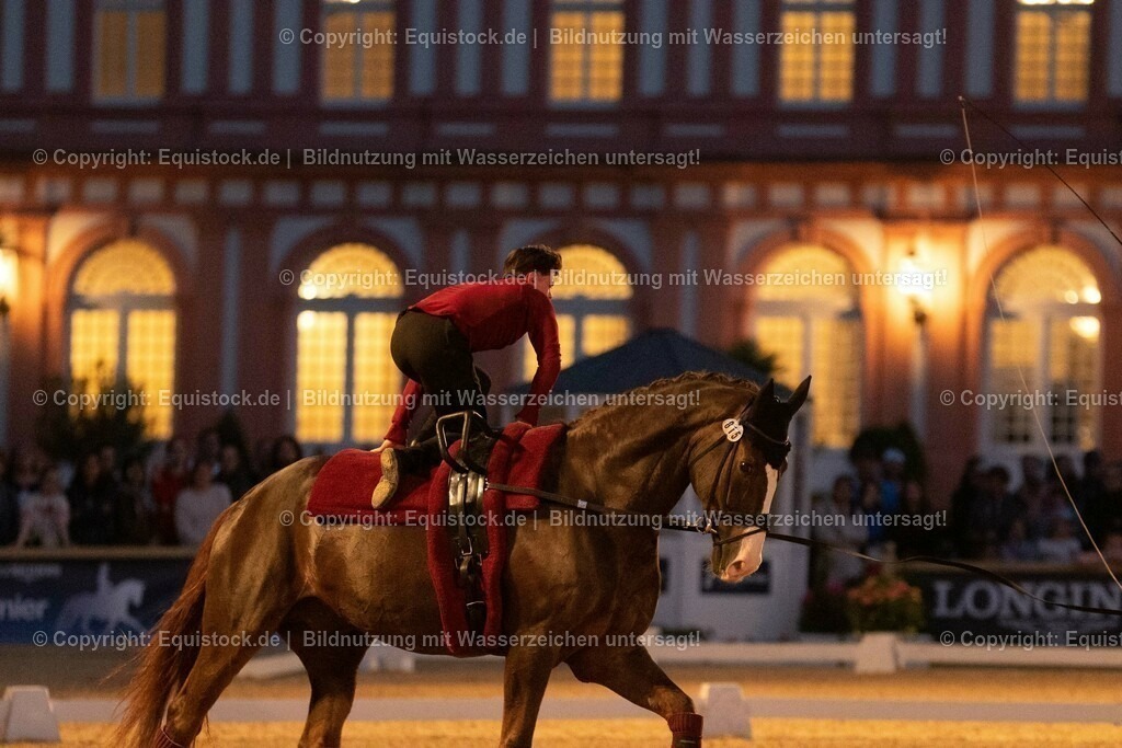 20230527_Voltigieren_NASPA_Flutlicht_0626 | equistock