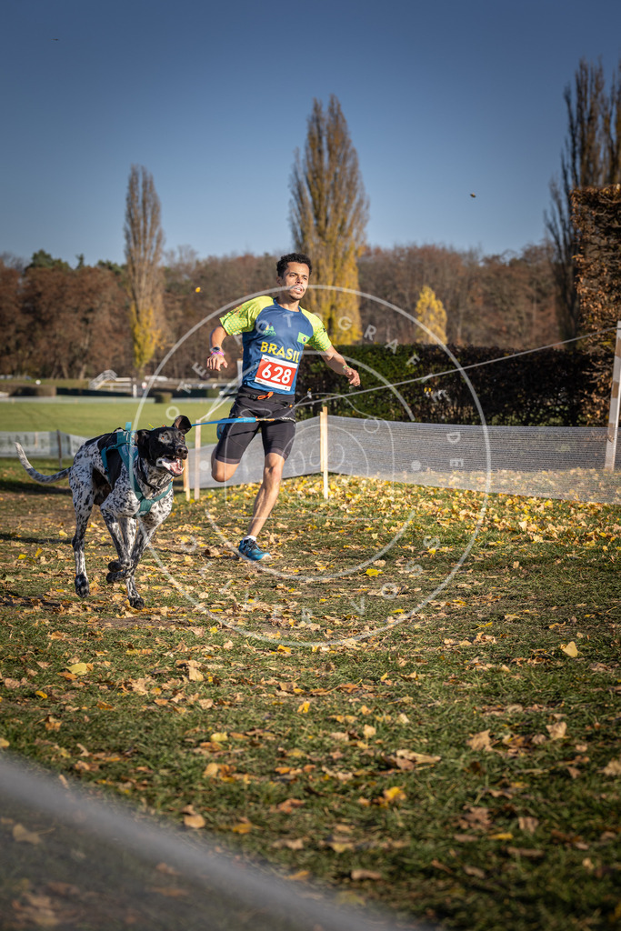 CaniXpix_DV3A0065 | Hundefotografie, Tierfotograf, Pfotenfotografie, Fotoshooting Hund, Hunde Portrait, Hundesport, Hundeportraits, Heideshooting, Hunde, Sportfotograf, Hundefotograf, Turnierhundsport, THS,  - Realisiert mit Pictrs.com
