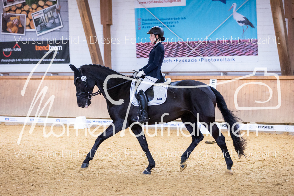 Sth-A-Dre-2St-116 | MomenTaufnahmen Pferdesportfotos