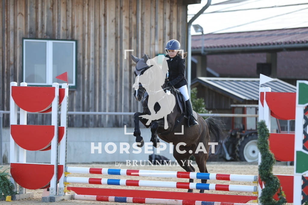 0P6A9152 | Willkommen bei Brunnmayr - Design & Fotografie – Ihrem Spezialisten für Reitturniere und Pferdeveranstaltungen in Oberösterreich, Salzburg und Bayern! Seit über 17 Jahren sind wir leidenschaftlich dabei.