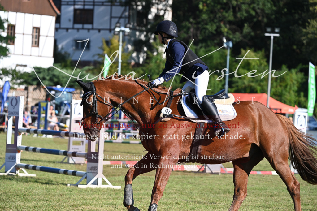DSC_5111 | Pferde- und Turnierfotografie in Westsachsen. Pferdeportraits, Auftragszeichnungen und intuitive Kunst.