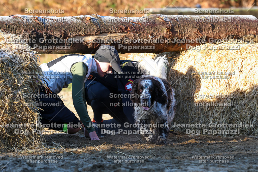 Dog Paparazzi - Strongdog 10-25-742 | Dog Paparazzi Jeanette Grottendiek Fotografie & Videografie - Realisiert mit Pictrs.com