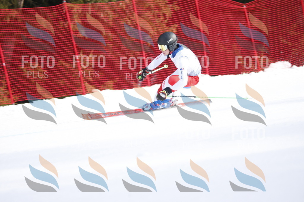 D7706 | holidayphoto