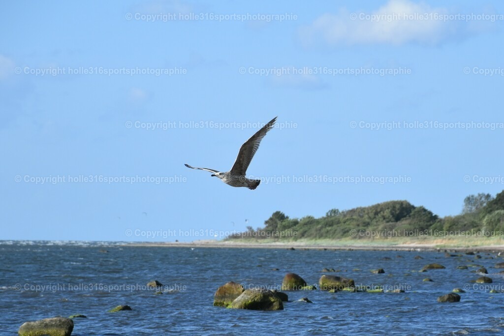 DSC_0019 (2) | Sportfotografie , Motorsport, Motoross, Reitsport, Mointainbike, Enduro,
Landschaft , Outdoor, Eventfotografie, Landschaft, Bilder online bestellen - Realisiert mit Pictrs.com