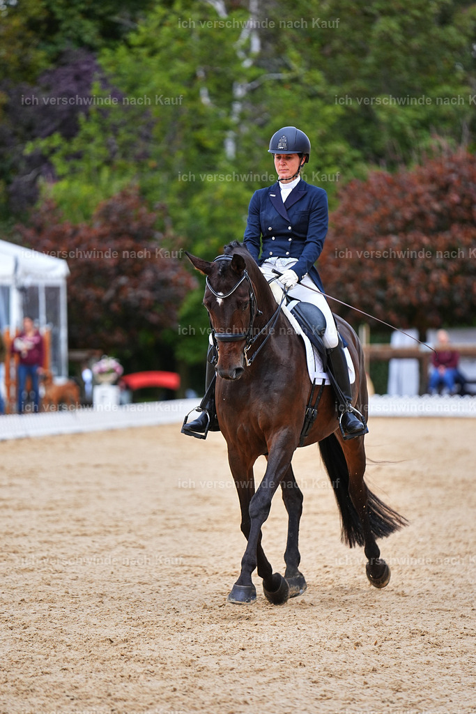 8_1-087-Klasse S_  -Marixx-4112 | working equitationturnier fotograf videograf stoibphotography marixx film working equitation deutschland reitsport turnierfotografie eventfotografie equestrian events
