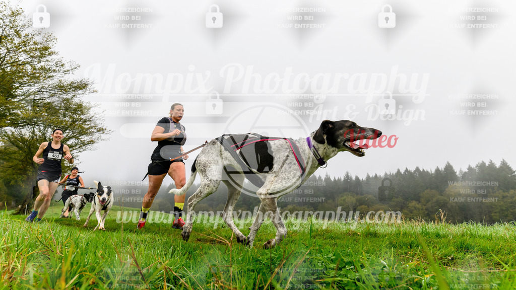 MompixPhotography_20TSB_E5_Run-71 | PayLife