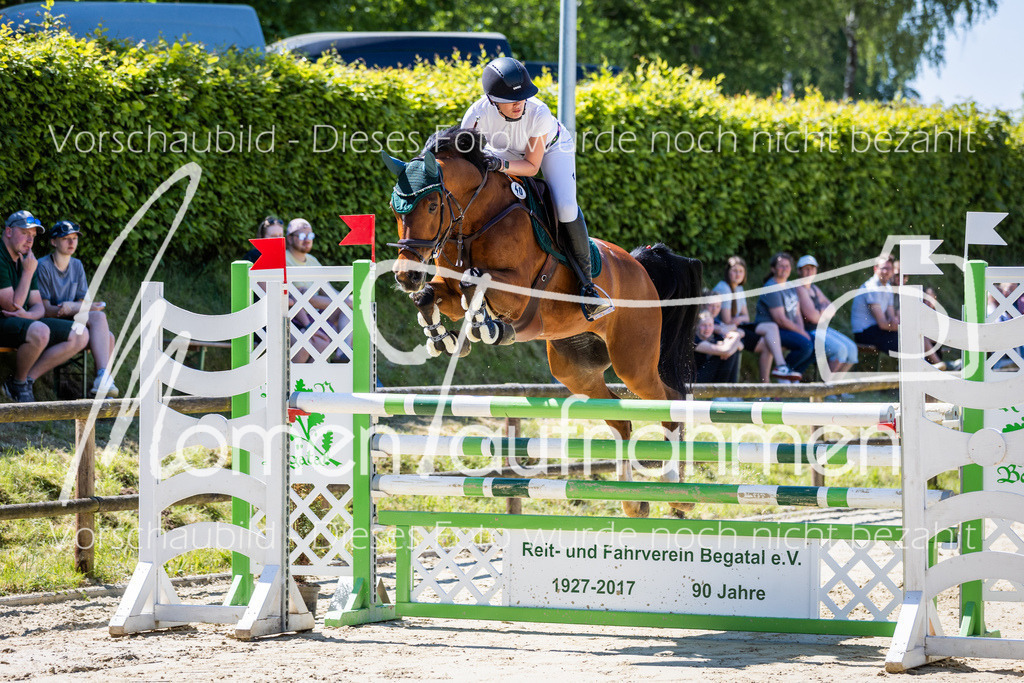 Donop24-L-Spr-014 | MomenTaufnahmen Pferdesportfotos