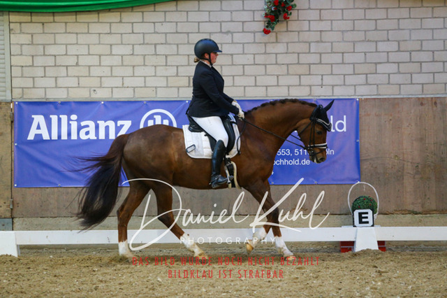 IMG_2968 | Turnierfotos kaufen im Webshop von Daniel Kuhl Photography – entdecke professionelle Reitsportfotos aus Turnieren & Events. Hochwertige Turnierbilder online bestellen & sichern. Jetzt Fotos von Reitsportturnieren kaufen!