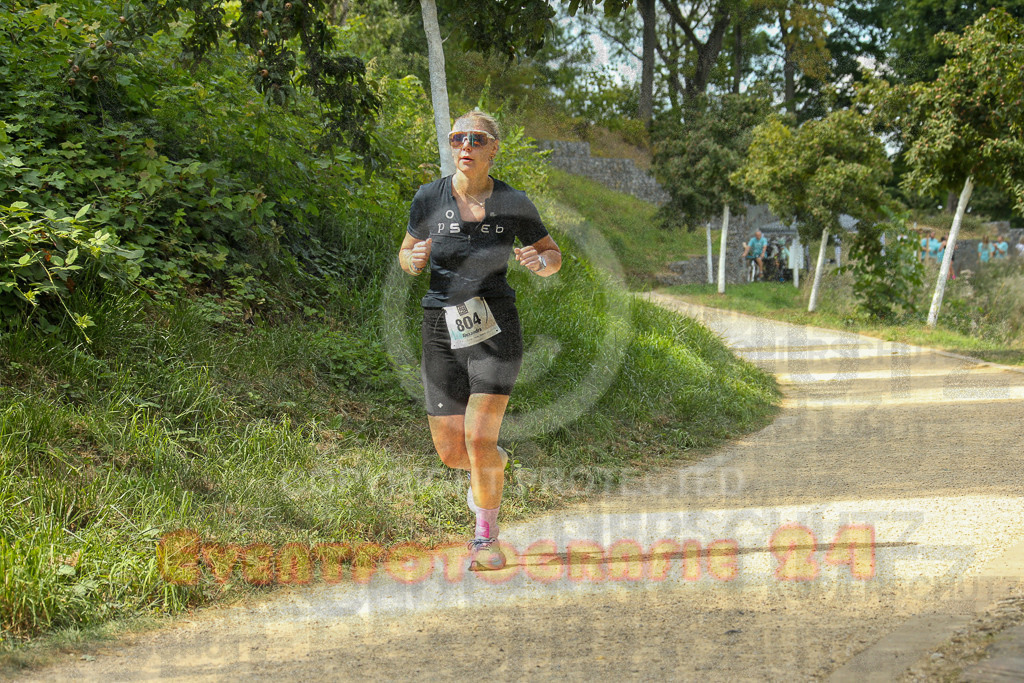 250824_1517_EX1_8764 | Sportfotografie im Rhein-Sieg Kreis, Köln, Bonn, NRW, Rheinland Pfalz, Hessen, etc. Unser Tätigkeitsfeld umfasst den Laufsport vom Volkslauf über den Marathon, Duathlon, Triathon bis zum Ultralauf wie Kölnpfad Ultra oder Schindertrail.