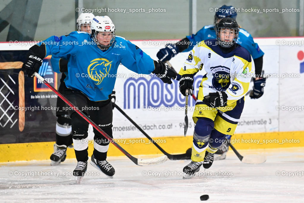 BST_6457 | hockey sports photos, Pressefotos, Sportfotos, hockey247, win 2day icehockeyleague, Handball Austria, Floorball Austria, ÖVV, Kärntner Eishockeyverband, KEHV, KFV, Kärntner Fussballverband, Österreichischer Volleyballverband, Alps Hockey League, ÖFB, 