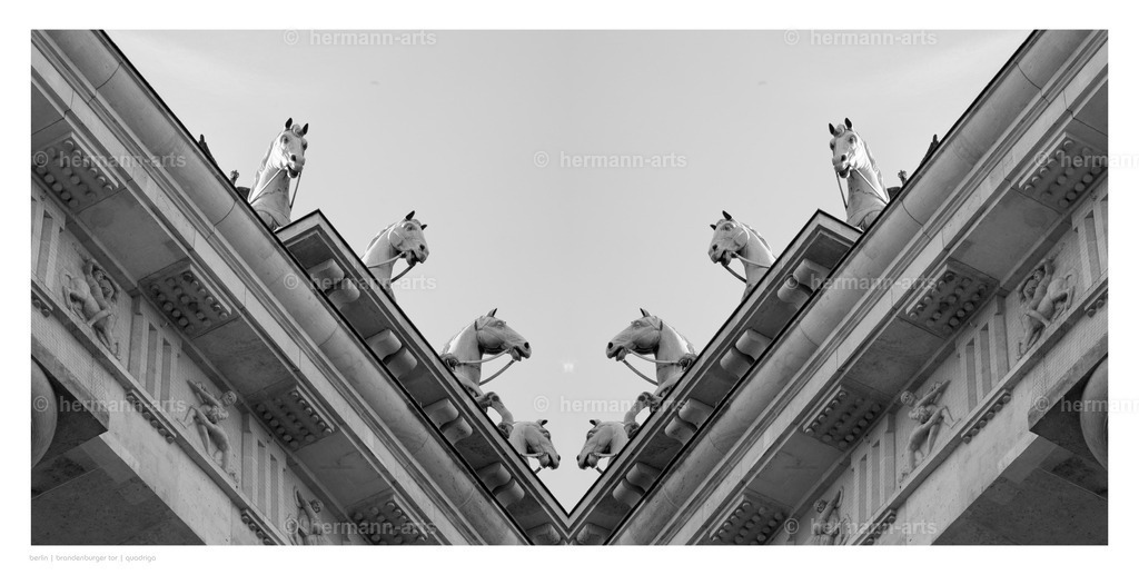 selbstbegegnung_10_03_24_einzeln22 | Photo Foto Kunst Art schwarzweiss Bilder Rheine Münster Berlin Blumen 