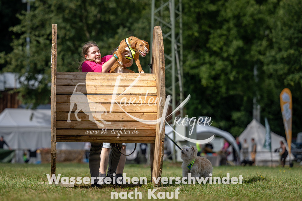 1133_ZZ90666 | kk-dogfotos