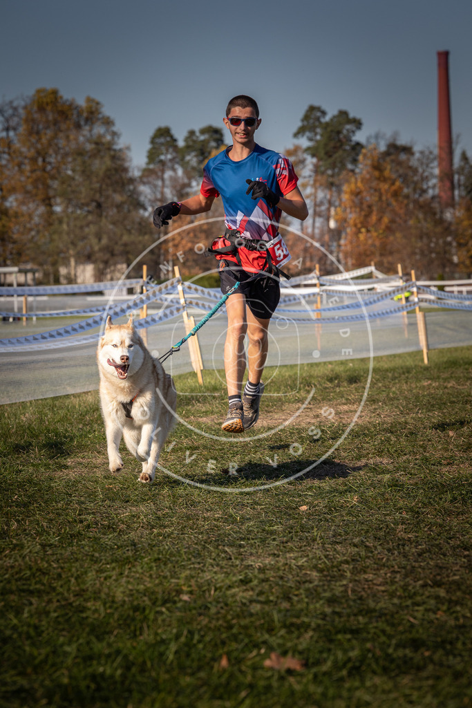 CaniXpix_0L8A8220 | Hundefotografie, Tierfotograf, Pfotenfotografie, Fotoshooting Hund, Hunde Portrait, Hundesport, Hundeportraits, Heideshooting, Hunde, Sportfotograf, Hundefotograf, Turnierhundsport, THS,  - Realisiert mit Pictrs.com